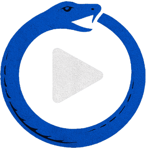 Proofplay Logo